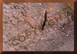 Dometic Refrigerator Fires Inner Coil Fracture Examination